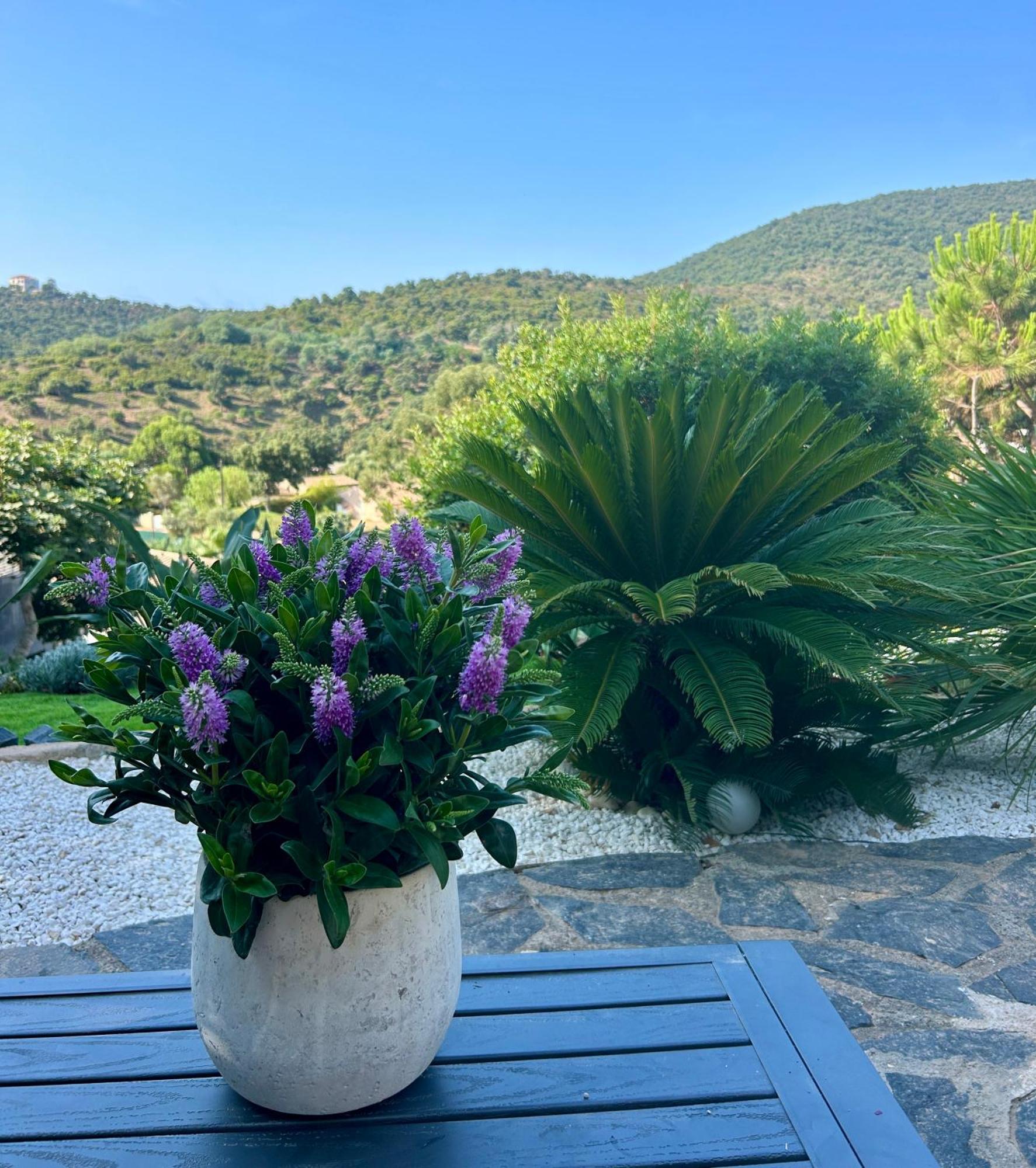 Belle Privee Avec Le Jardin Privatif Et Le Jacuzzi Quarto em Acomodações Particulares