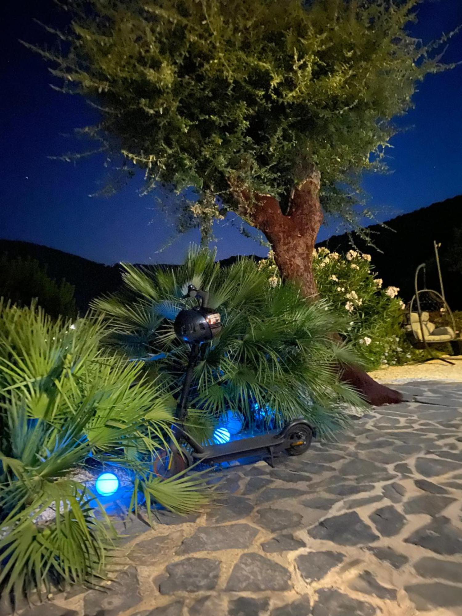 Belle Privee Avec Le Jardin Privatif Et Le Jacuzzi Quarto em Acomodações Particulares Cavalaire-sur-Mer